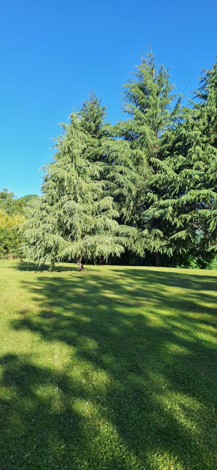 Villa Duno A Un Passo Da Citta Alta Clanezzo エクステリア 写真